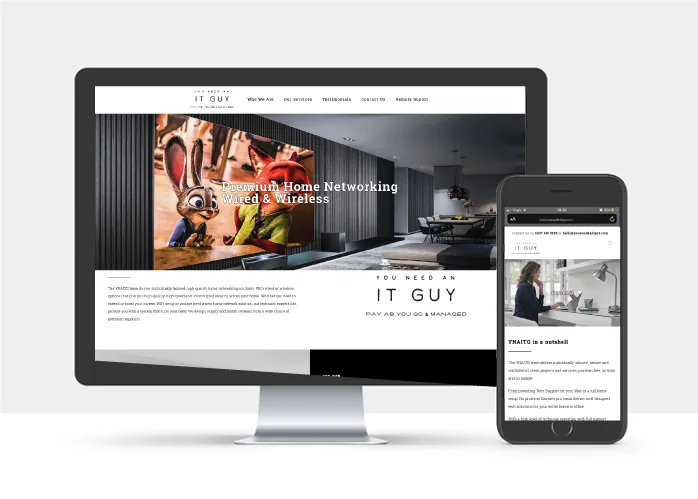 You Need An IT Guy campaign landing pages